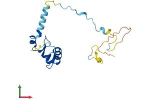 AlphaFold protein structure predicition of Mouse Recombinant Gtsf1 Protein, UniprotID Q9DAN6