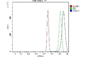 Flow Cytometry analysis of Neuro-2a cells using anti-KMO antibody (ABIN7600958). (KMO anticorps  (AA 26-372))