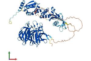 AlphaFold protein structure predicition of Mouse Recombinant Ivns1abp Protein, UniprotID Q920Q8