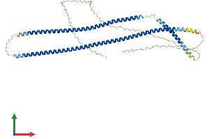 AlphaFold protein structure predicition of Human Recombinant KRT16 Protein, UniprotID P08779