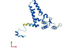 AlphaFold protein structure predicition of Mouse Recombinant Imp3 Protein, UniprotID Q921Y2
