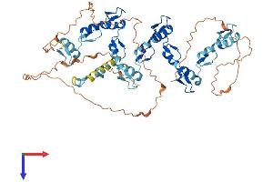AlphaFold protein structure predicition of Human Recombinant ZNF460 Protein, UniprotID Q14592