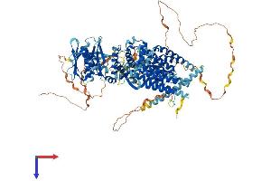 AlphaFold protein structure predicition of Human Recombinant PTK2B Protein, UniprotID Q14289