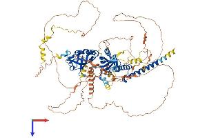 AlphaFold protein structure predicition of Mouse Recombinant Epas1 Protein, UniprotID P97481
