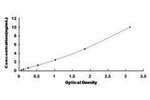 Retinoic Acid Receptor, alpha (RARA) ELISA Kit
