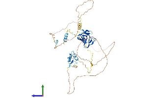 AlphaFold protein structure predicition of Human Recombinant APLF Protein, UniprotID Q8IW19