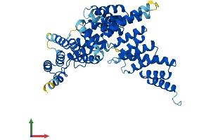 AlphaFold protein structure predicition of Mouse Recombinant Ifit1 Protein, UniprotID Q64282