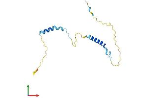 AlphaFold protein structure predicition of Human Recombinant PCP2 Protein, UniprotID Q8IVA1