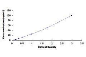 Arylformamidase (AFMID) ELISA Kit