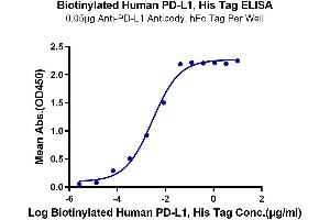 Immobilized Anti-PD-L1 Antibody, hFc Tag at 0.