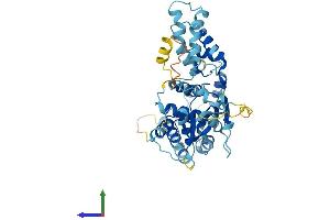 AlphaFold protein structure predicition of Human Recombinant ORC5 Protein, UniprotID O43913