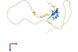 AlphaFold protein structure predicition of Mouse Recombinant Srsf10 Protein, UniprotID Q9R0U0