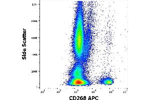 Flow cytometry surface staining pattern of human peripheral whole blood stained using anti-human CD268 (11C1) APC antibody (4 μL reagent / 100 μL of peripheral whole blood).
