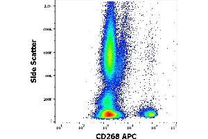 Flow cytometry surface staining pattern of human peripheral whole blood stained using anti-human CD268 (11C1) APC antibody (4 μL reagent / 100 μL of peripheral whole blood). (TNFRSF13C anticorps  (APC))