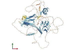 AlphaFold protein structure predicition of Mouse Recombinant Kcnh7 Protein, UniprotID Q9ER47