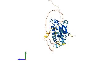 AlphaFold protein structure predicition of Human Recombinant ELF5 Protein, UniprotID Q9UKW6