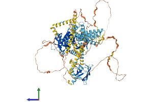 AlphaFold protein structure predicition of Mouse Recombinant Kif1c Protein, UniprotID O35071