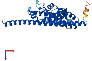 AlphaFold protein structure predicition of Human Recombinant TSN Protein, UniprotID Q15631