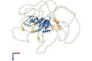 AlphaFold protein structure predicition of Mouse Recombinant Arhgap6 Protein, UniprotID O54834