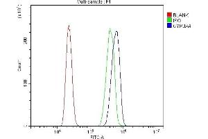 Flow Cytometry analysis of HL-60 cells using anti-Cytochrome P450 3A4/CYP3A4 antibody (ABIN7601737).