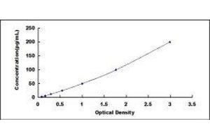 ELISA image for Nerve Growth Factor (NGF) ELISA Kit (ABIN1874220)