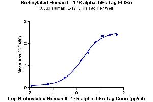 Immobilized Human IL-17F, His Tag at 5 μg/mL (100 μL/well) on the plate.