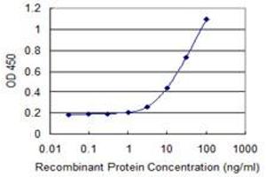 Detection limit for recombinant GST tagged HOXB9 is 1 ng/ml as a capture antibody. (HOXB9 anticorps  (AA 65-163))