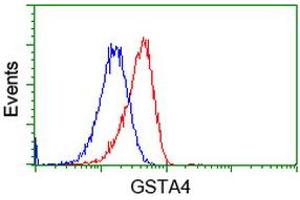 Flow cytometric Analysis of Hela cells, using anti-GSTA4 antibody (ABIN2453091), (Red), compared to a nonspecific negative control antibody (TA50011), (Blue). (GSTA4 anticorps)