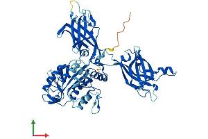 AlphaFold protein structure predicition of Mouse Recombinant Cpne1 Protein, UniprotID Q8C166