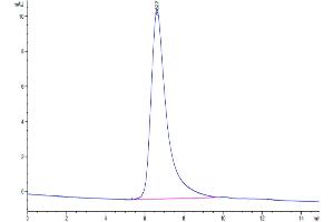 The purity of Mouse Semaphorin 4D is greater than 95 % as determined by SEC-HPLC.