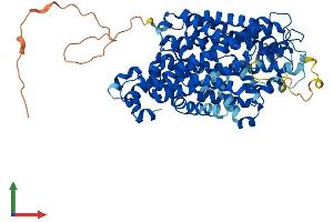 AlphaFold protein structure predicition of Mouse Recombinant Slc6a2 Protein, UniprotID O55192