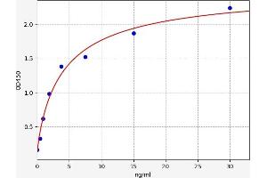 Typical standard curve