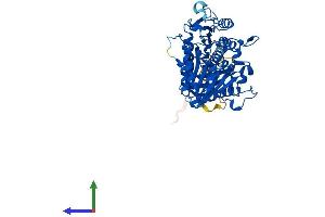 AlphaFold protein structure predicition of Mouse Recombinant Pld3 Protein, UniprotID O35405
