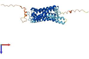 AlphaFold protein structure predicition of Human Recombinant OPN1MW Protein, UniprotID P04001