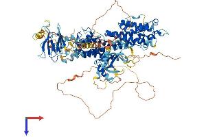 AlphaFold protein structure predicition of Mouse Recombinant Rasip1 Protein, UniprotID Q3U0S6