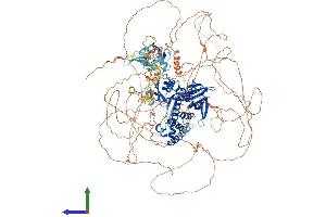 AlphaFold protein structure predicition of Mouse Recombinant Frmpd4 Protein, UniprotID A2AFR3