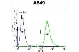 HSP90B1 Antibody (Center) (ABIN655868 and ABIN2845274) flow cytometric analysis of A549 cells (right histogram) compared to a negative control cell (left histogram). (GRP94 anticorps  (AA 460-487))