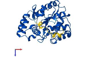AlphaFold protein structure predicition of Mouse Recombinant Sult1c1 Protein, UniprotID Q80VR3