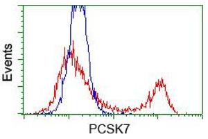 HEK293T cells transfected with either pCMV6-ENTRY PCSK7 (RC203896) (Red) or empty vector control plasmid (Blue) were immunostained with anti-PCSK7 mouse monoclonal (ABIN2453428, Dilution 1:1,000), and then analyzed by flow cytometry. (PCSK7 anticorps)