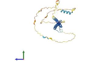 AlphaFold protein structure predicition of Mouse Recombinant Ascl2 Protein, UniprotID O35885