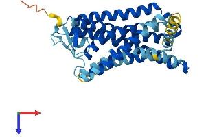 AlphaFold protein structure predicition of Human Recombinant OR2C3 Protein, UniprotID Q8N628