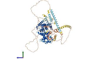 AlphaFold protein structure predicition of Mouse Recombinant Tbc1d5 Protein, UniprotID Q80XQ2