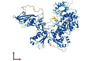 AlphaFold protein structure predicition of Human Recombinant SLFN11 Protein, UniprotID Q7Z7L1
