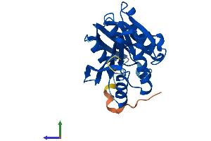 AlphaFold protein structure predicition of Mouse Recombinant Mettl21A Protein, UniprotID Q9CQL0