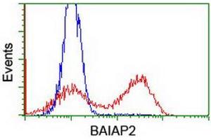 HEK293T cells transfected with either RC214570 overexpress plasmid (Red) or empty vector control plasmid (Blue) were immunostained by anti-BAIAP2 antibody (ABIN2454654), and then analyzed by flow cytometry. (BAIAP2 anticorps)
