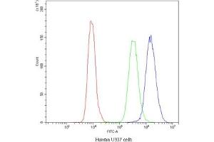 Flow cytometry testing of human U937 MG cells with Purine Nucleoside Phosphorylase antibody at 1ug/10^6 cells (blocked with goat sera) (PNP anticorps  (AA 161-189))