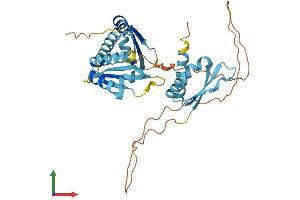 AlphaFold protein structure predicition of Mouse Recombinant Pcbp1 Protein, UniprotID P60335