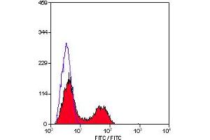 Staining of mouse peripheral blood lymphocytes with Rat anti Mouse CD3:FITC (ABIN118102). (CD3 anticorps  (FITC))