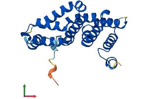 AlphaFold protein structure predicition of Mouse Recombinant Mif4gd Protein, UniprotID Q3UBZ5