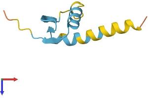 AlphaFold protein structure predicition of Human Recombinant GTF2H5 Protein, UniprotID Q6ZYL4